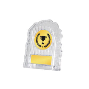 Acrylic Awards Acrylic Awards CA5003