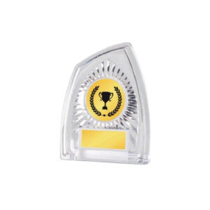 Acrylic Awards Acrylic Awards CA5004