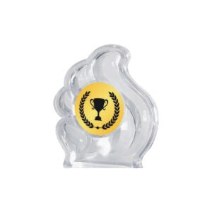 Acrylic Awards Acrylic Awards CA5007