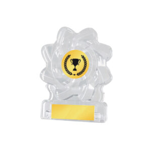 Acrylic Awards Acrylic Awards CA5010