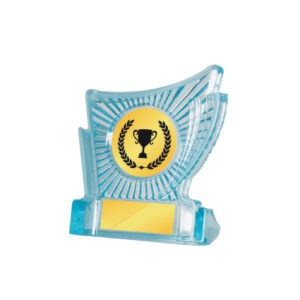 Acrylic Awards Acrylic Awards CA5014