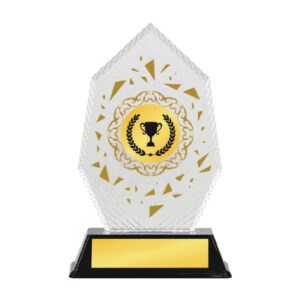 Acrylic Awards Acrylic Awards CA5030