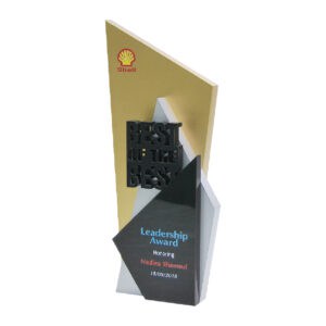 Awards Custom Awards CA6612