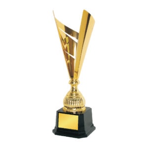 Cup Trophy Cup Trophy IC153