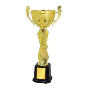 Cup Trophy Cup Trophy IC163 Cup Trophy Cup Trophy IC163