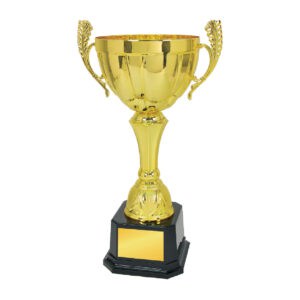 Cup Trophy Cup Trophy IC164