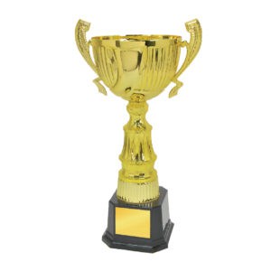 Cup Trophy Cup Trophy IC168
