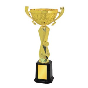 Cup Trophy Cup Trophy IC175
