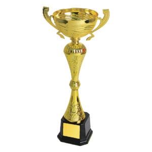 Cup Trophy Cup Trophy IC180