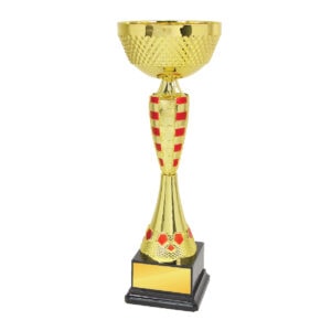 Cup Trophy Cup Trophy IC318
