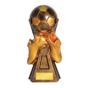 Football Trophy Football Trophy ST1023 Football Trophy Football Trophy ST1023